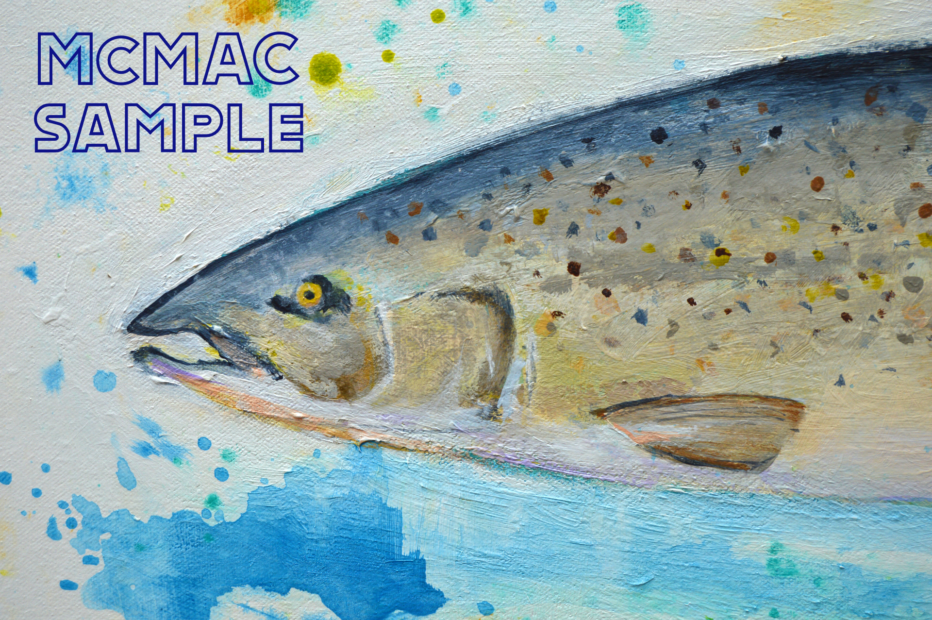 ATLANTIC SALMON detail