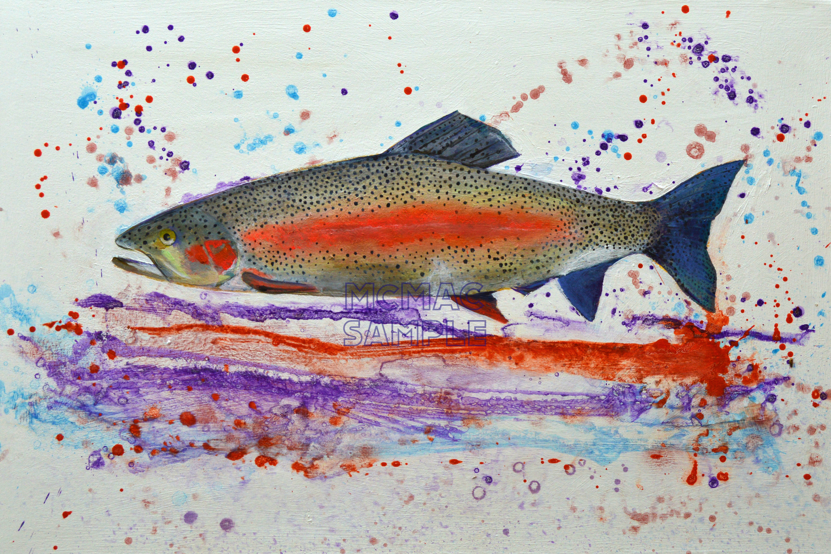 RAINBOW TROUT
