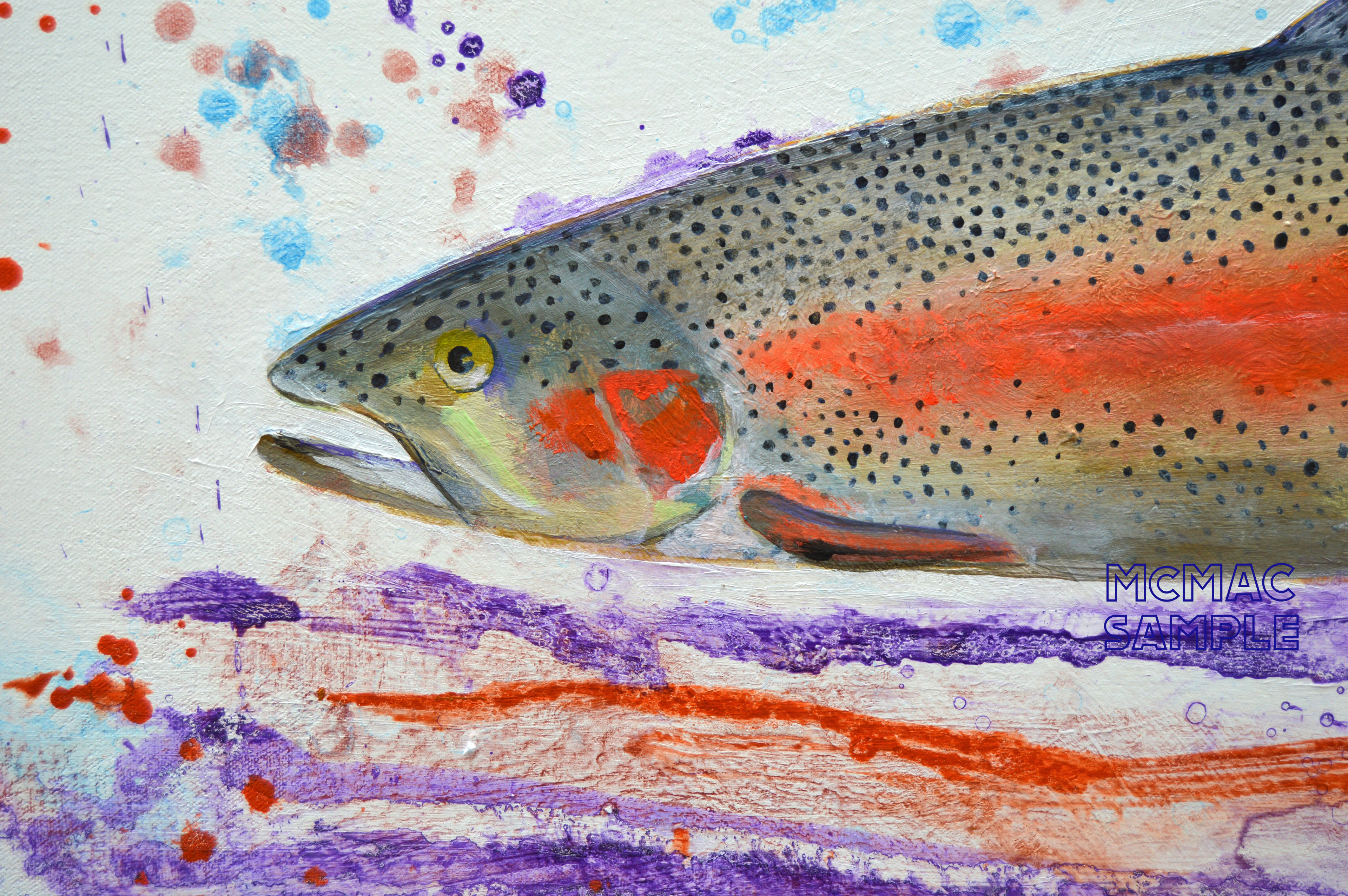 RAINBOW TROUT detail